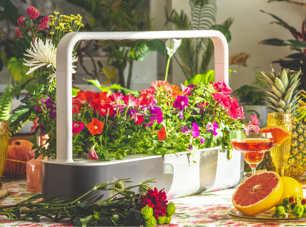 Flower Decor Journey