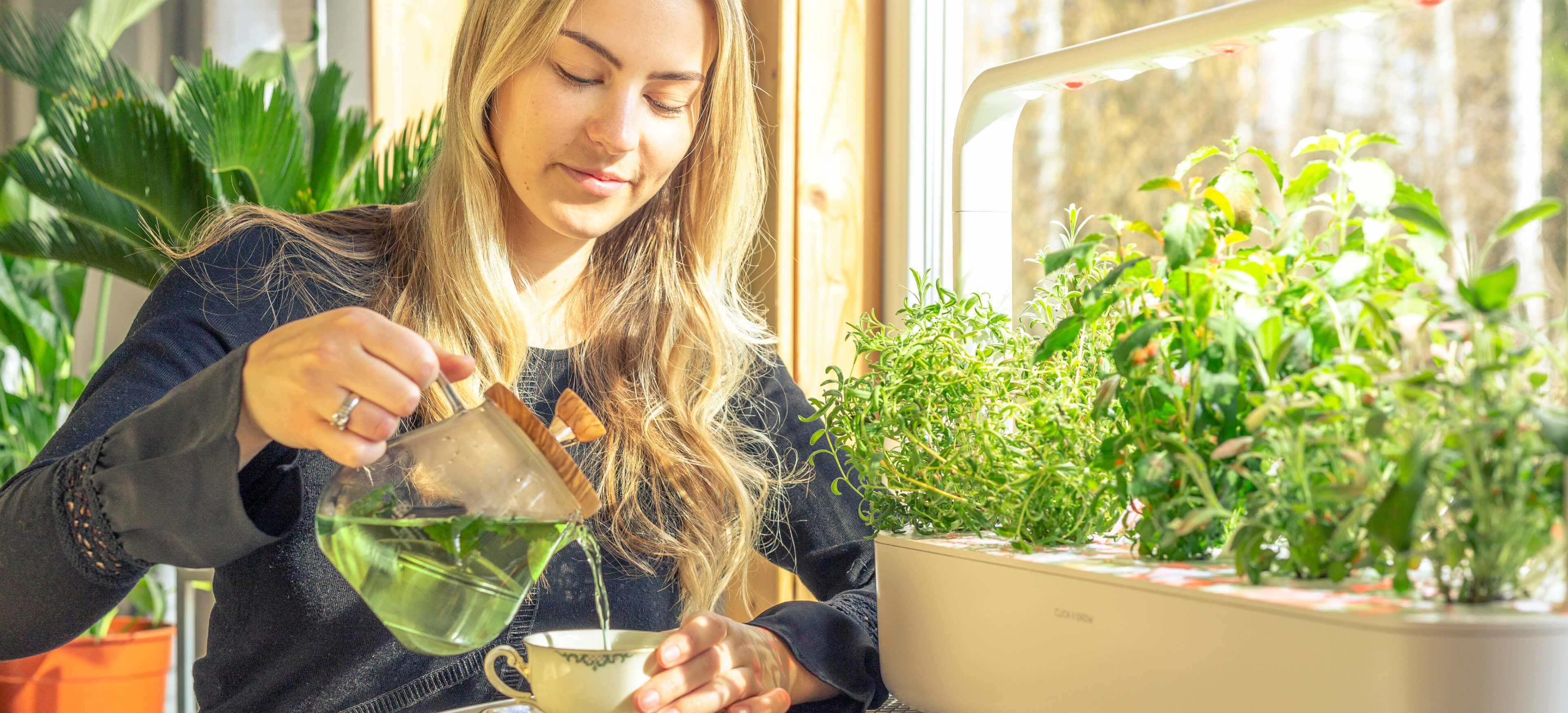 Invest in your health with an indoor garden.