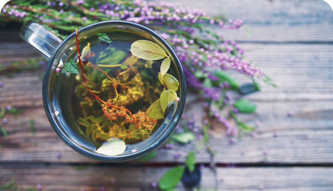 A compact self-sustaining indoor garden.