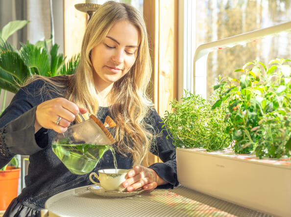 Green Zen Journey