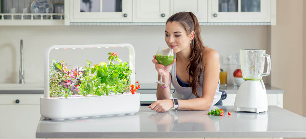 Invest in your health with an indoor garden.
