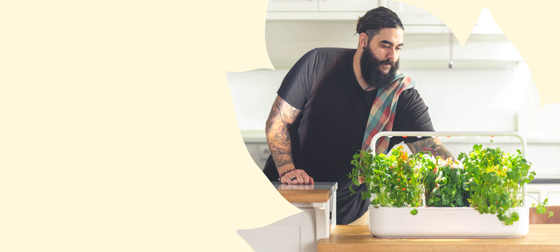 Click and Grow - Welcome Summer Sale Link Promo