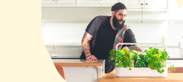 Click and Grow - shop indoor gardens