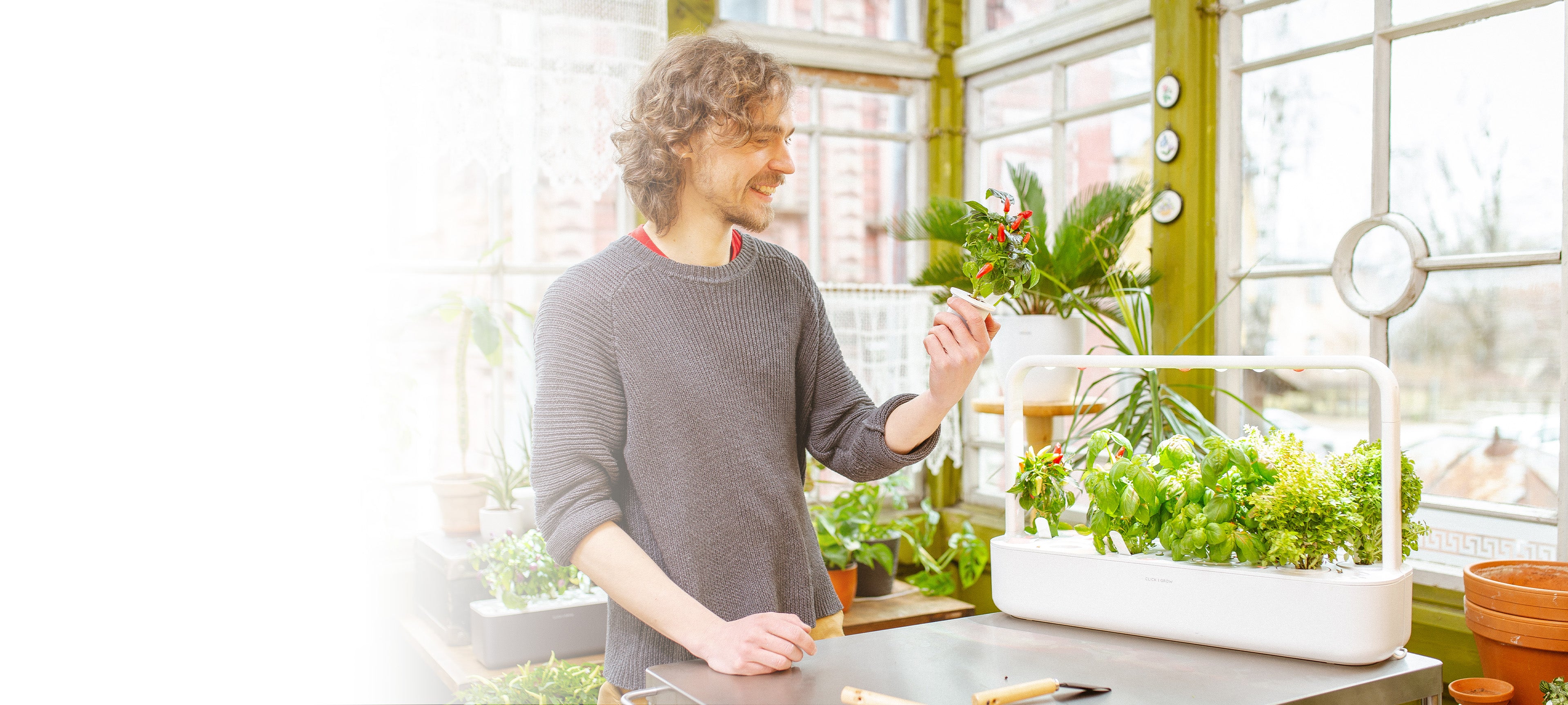 Invest in your health with an indoor garden.