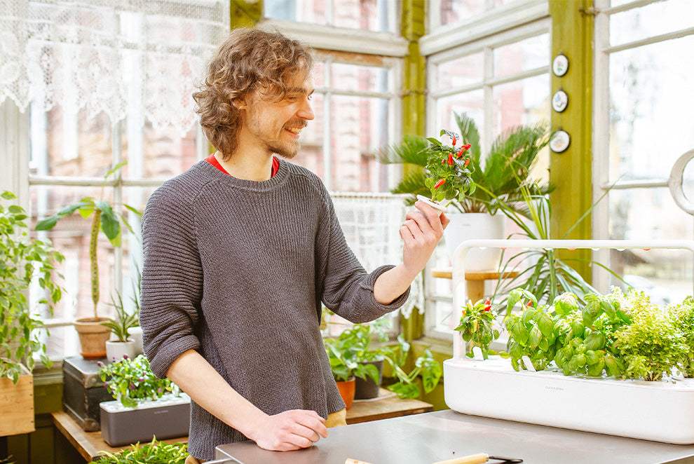 Invest in your health with an indoor garden.