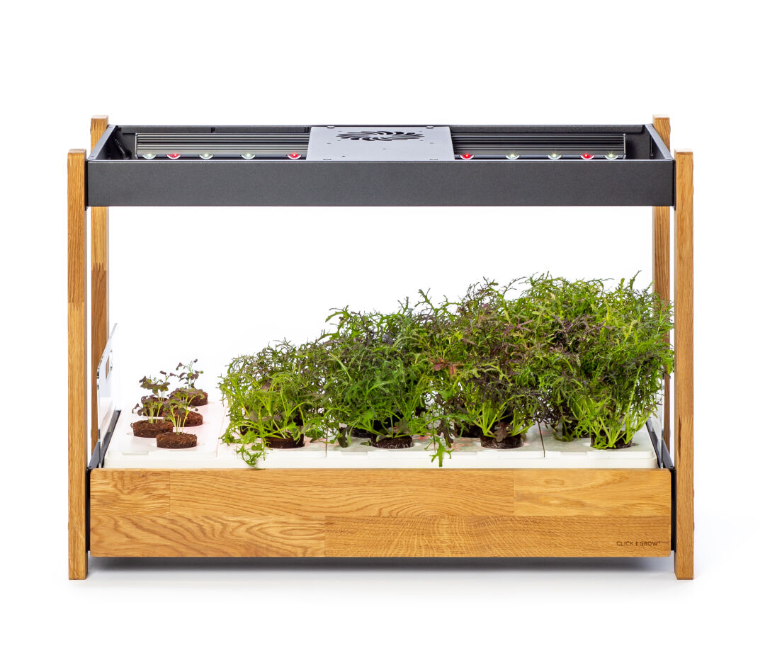 The Click and Grow 25